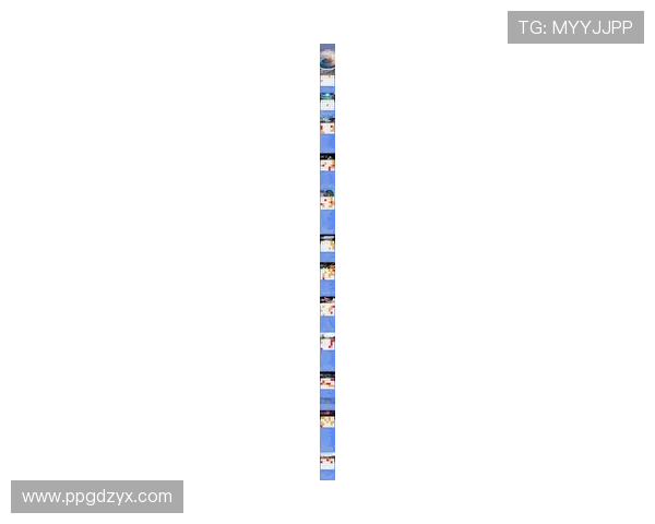 2026年全球体育盛事：你不可错过的比赛一览