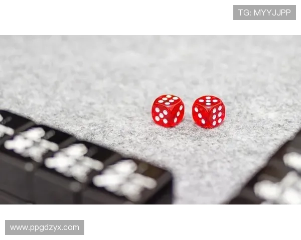 大庄家赌场的文化氛围：娱乐与社交的结合